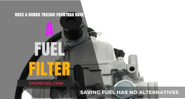 Honda TRX300 Fourtrax Fuel Filter: Where is it?