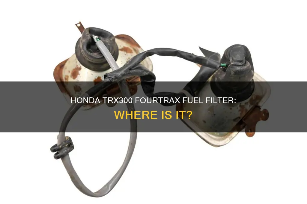 does a honda trx300 fourtrax have a fuel filter