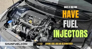Kia Rio Fuel Injectors: What You Need to Know