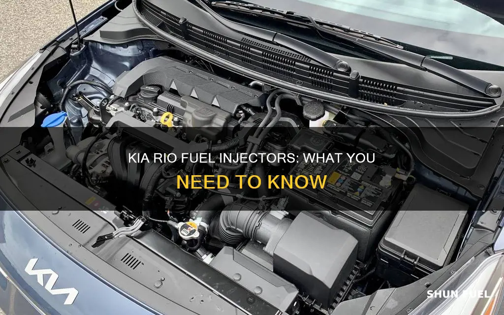 does a kia rio have fuel injectors