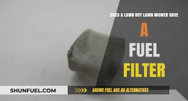 Lawn-Boy Mowers: Fuel Filter or Not?