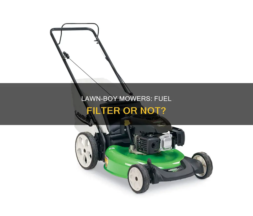 does a lawn boy lawn mower have a fuel filter