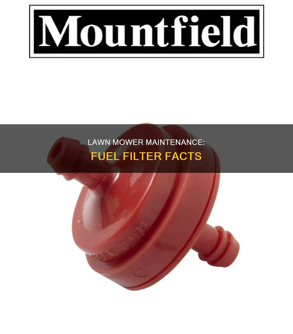 does a lawn mower gave a fuel filter
