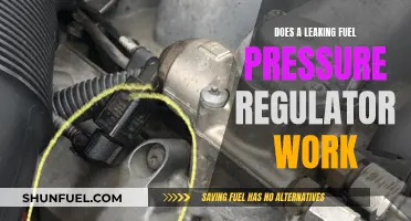 Fuel Pressure Regulator: Leaking and Its Impact on Performance