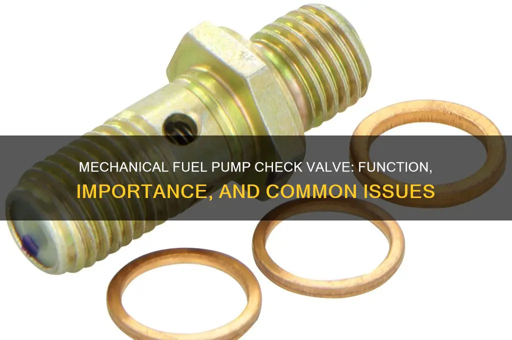 does a mechanical fuel pump have a check valve