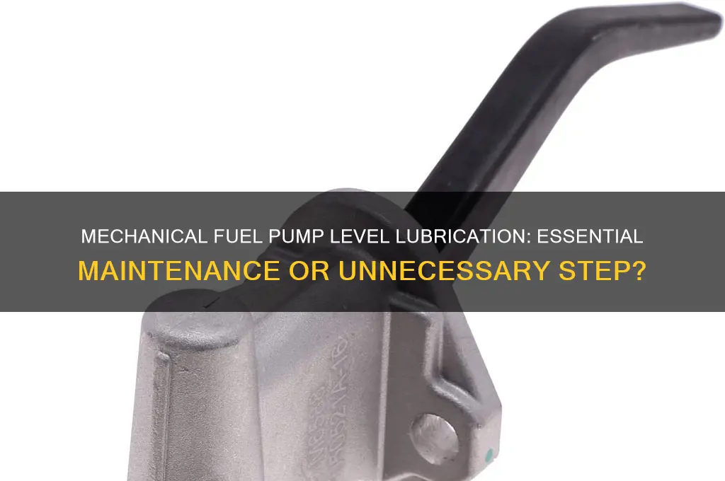 does a mechanical fuel pump level need to be lubed
