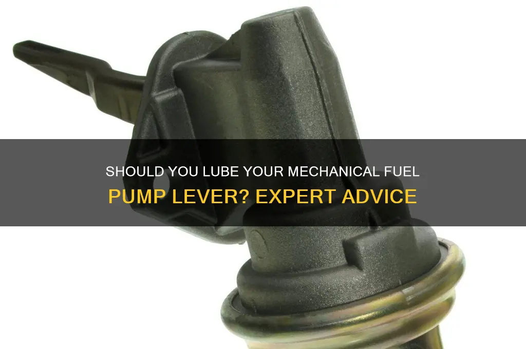 does a mechanical fuel pump lever need to be lubed