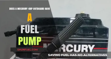 Mercury 4HP Outboard: Fuel Pump Presence and Functionality Explained