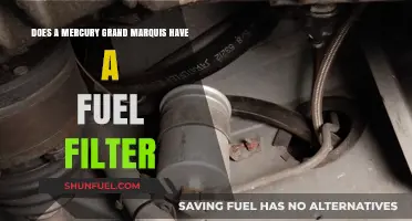 Fuel Filter Mystery: Mercury Grand Marquis