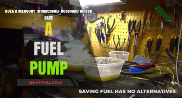 Mercury Thunderbolt Outboard: Fuel Pump Presence Explained