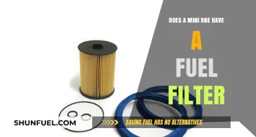 Mini One Fuel Filter: Where Is It?