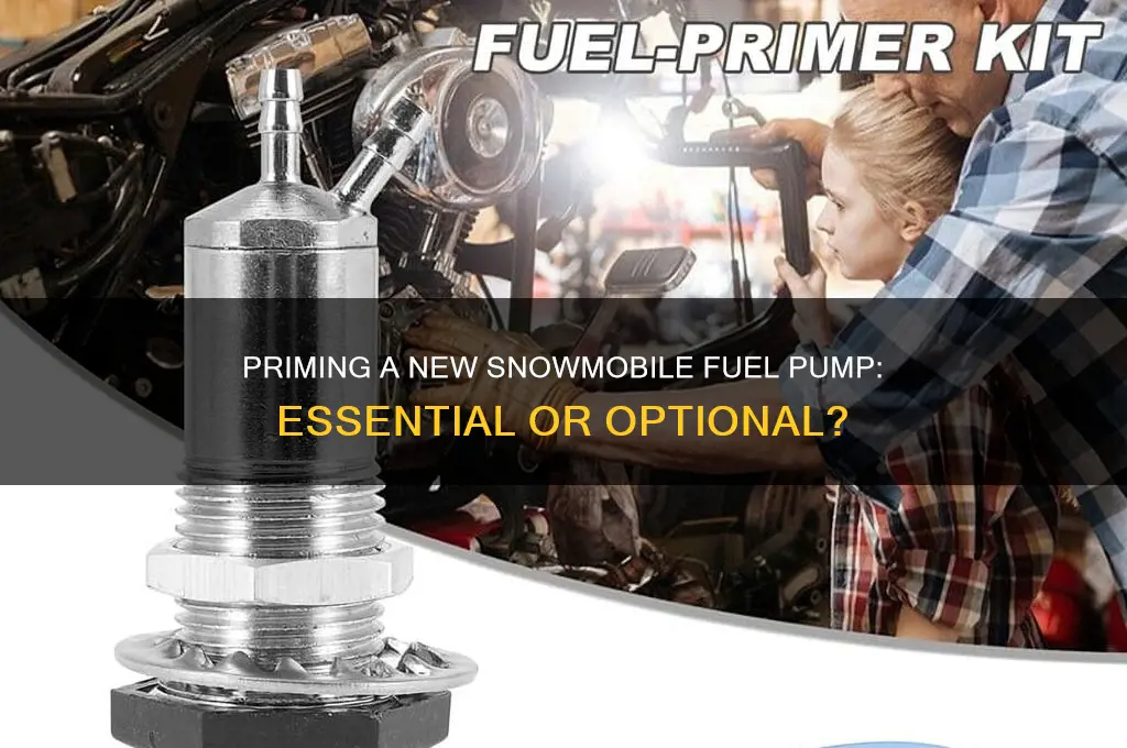 does a new snowmobile fuel pump need to be primed
