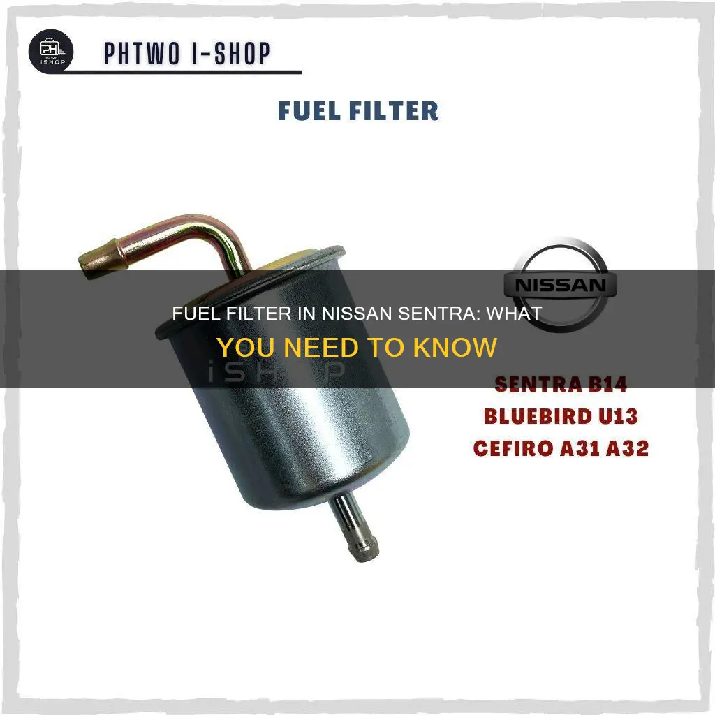 does a nissan sentra have a fuel filter
