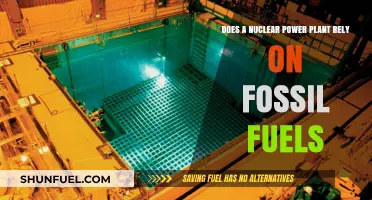 How Nuclear Power Plants Depend on Fossil Fuels