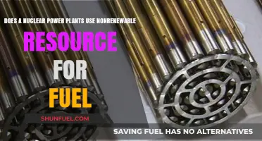 Nuclear Power Plants: Relying on Nonrenewable Uranium for Fuel?
