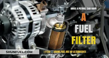 Fuel Filters: Are They Present in Petrol Cars?