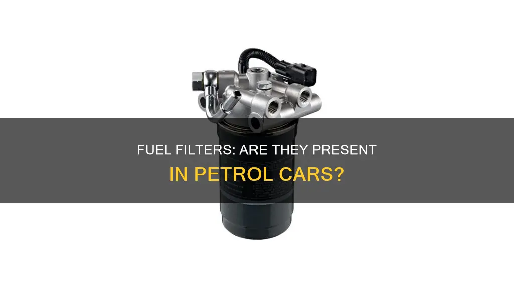 does a petrol car have a fuel filter