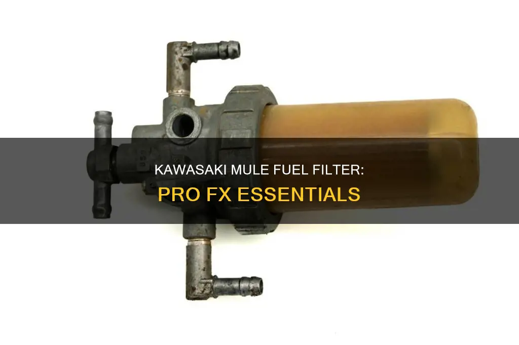 does a pro fx kawasaki mule have a fuel filter