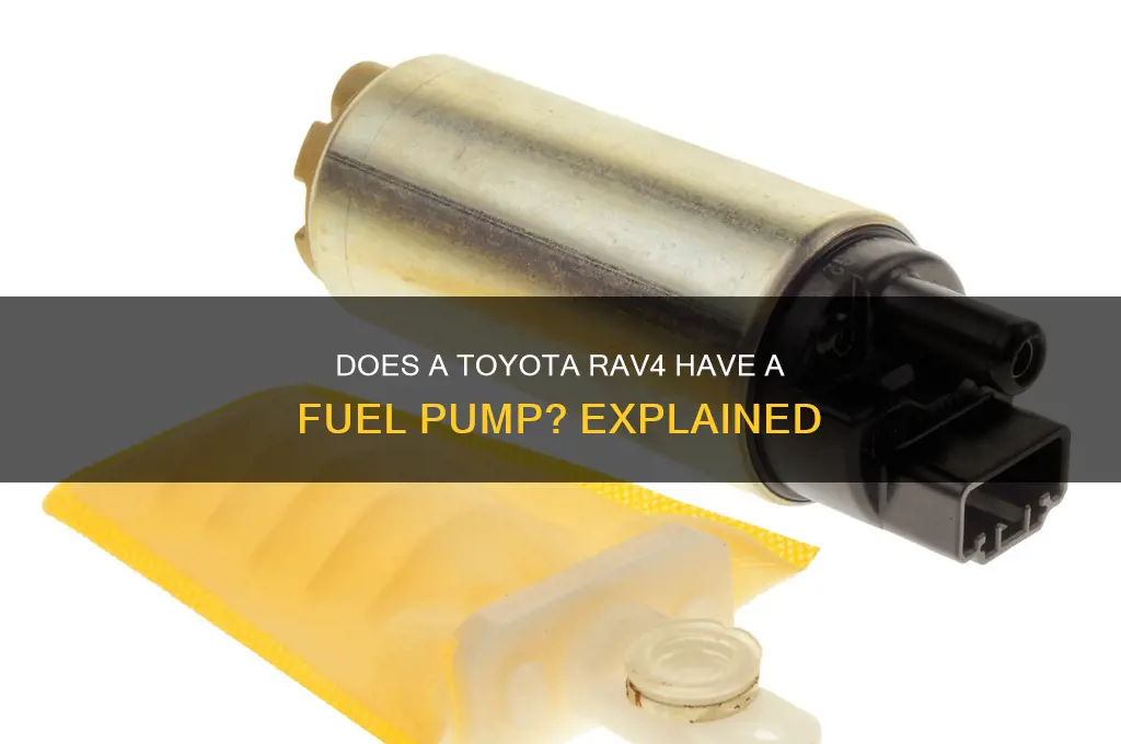 does a rav4 have a fuel pump