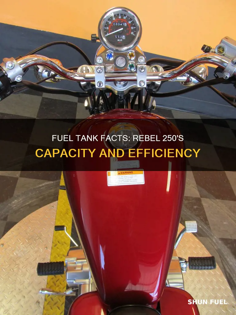 does a rebel 250 fuel tank