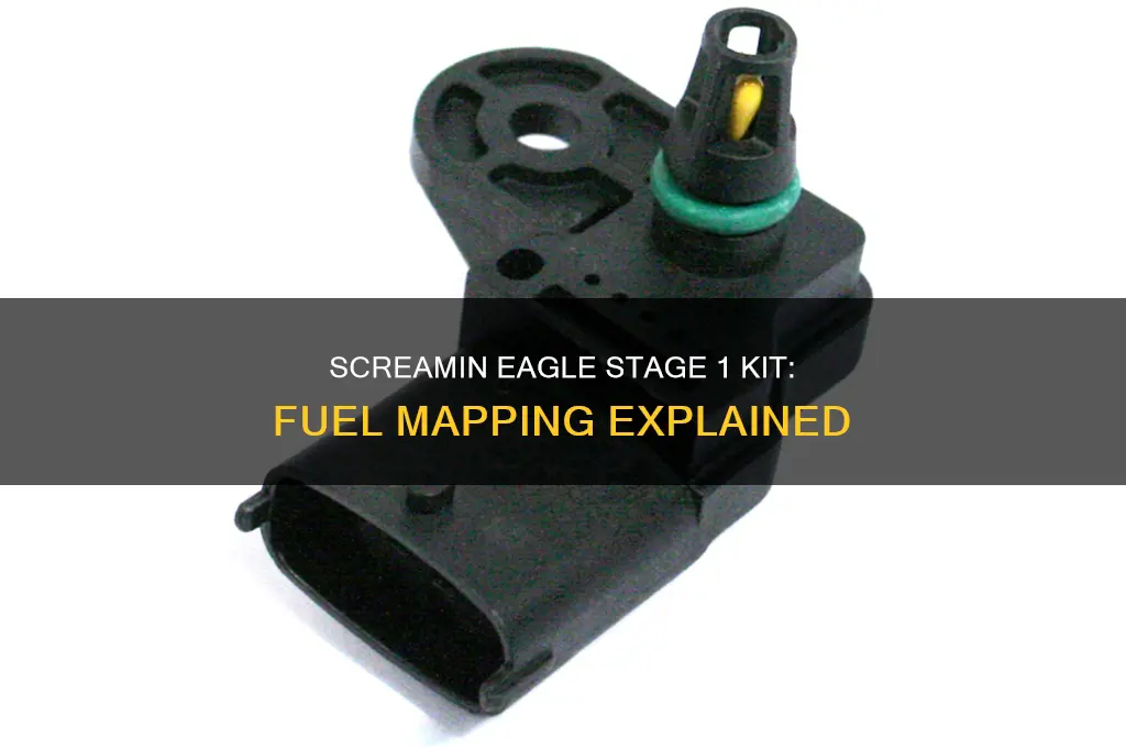 does a screamin eagle stage 1 kit use fuel mapping