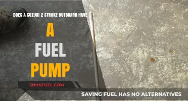 Does Your Suzuki 2-Stroke Outboard Need a Fuel Pump?