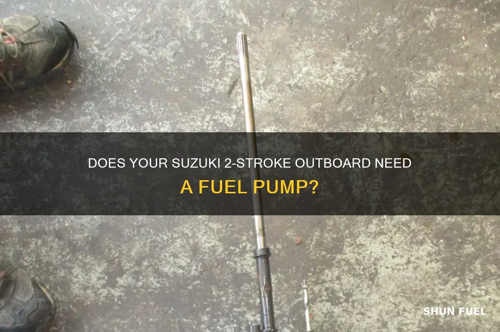does a suzuki 2 stroke outboard have a fuel pump
