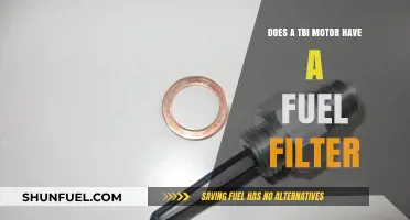 TBI Motors: Where's the Fuel Filter?