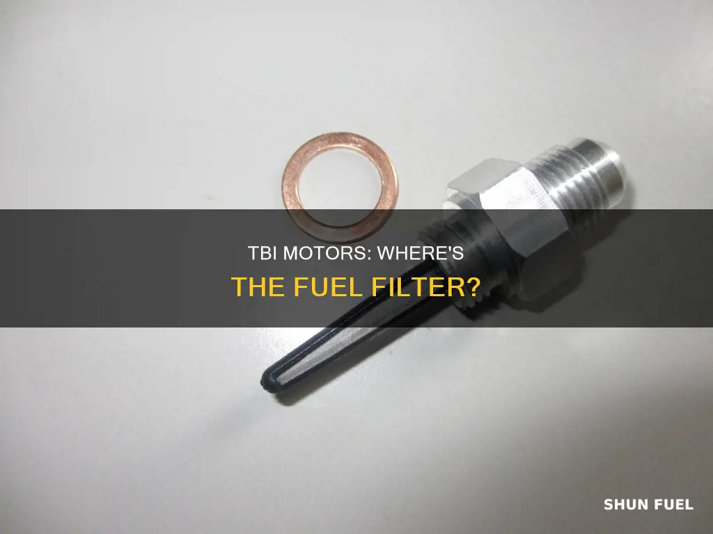 does a tbi motor have a fuel filter