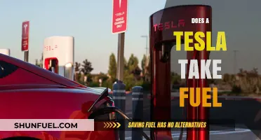 Do Teslas Need Gas? Debunking Fuel Myths About Electric Vehicles