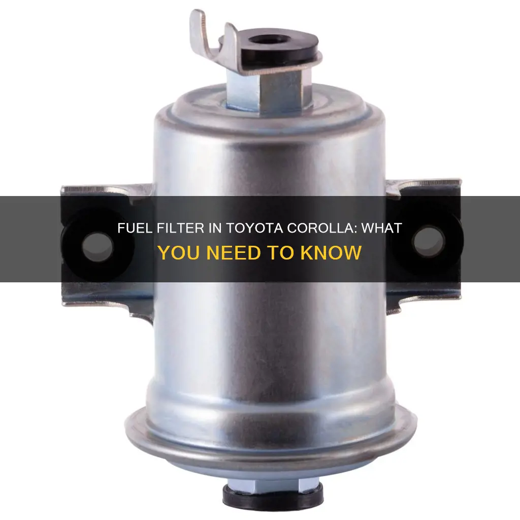 does a toyota corolla have a fuel filter