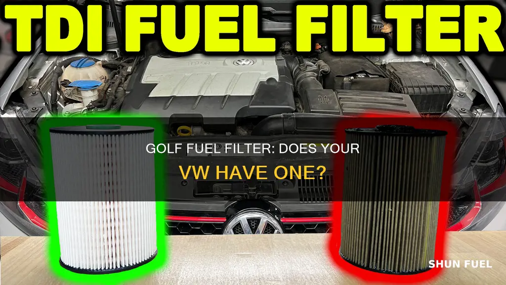 does a vw golf have a fuel filter