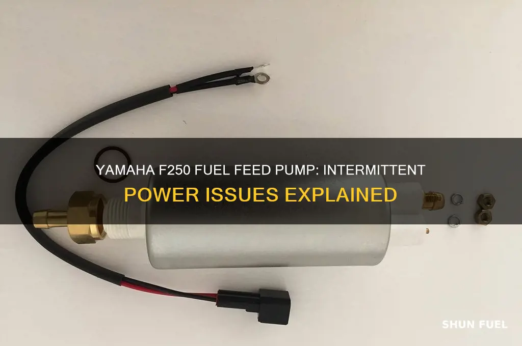 does a yamaha f250 fuel feed pump have power intermittently