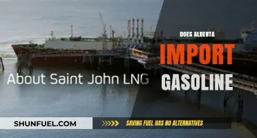 Alberta's Gasoline Dilemma: To Import or Not to Import?