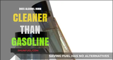 Exploring the Combustion Cleanliness: Alcohol vs. Gasoline