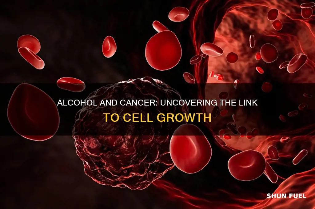 does alcohol fuel cancer cells