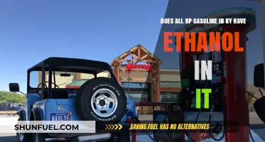 Exploring the Ethanol Content in Kentucky's BP Gasoline: A Comprehensive Guide
