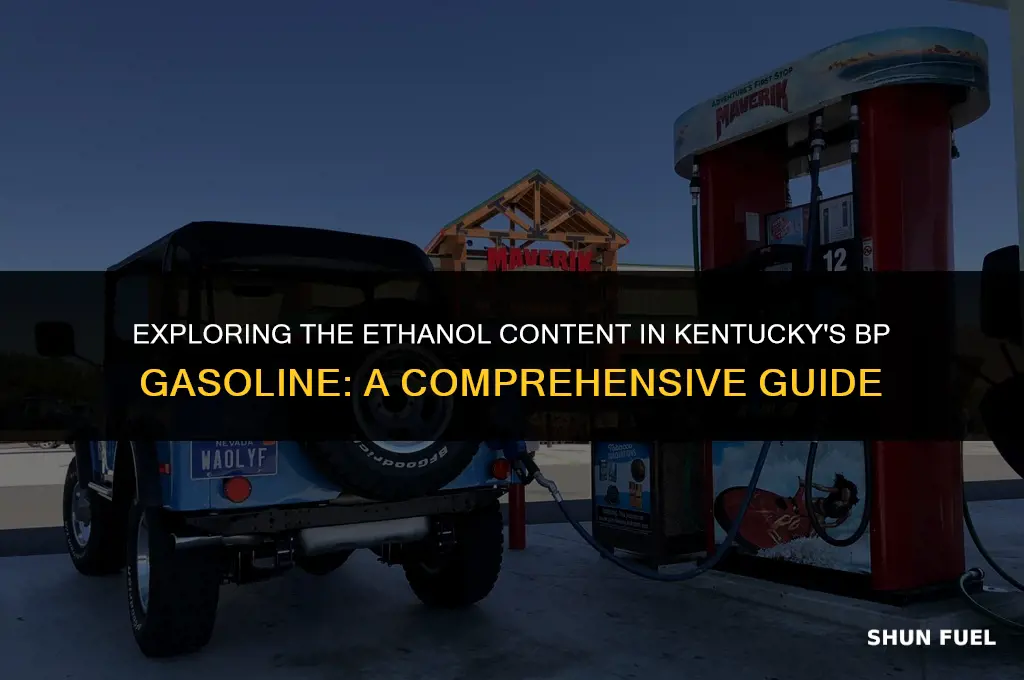 does all bp gasoline in ky have ethanol in it