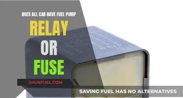 Fuel Pump Relay and Fuse: Are They in All Cars?