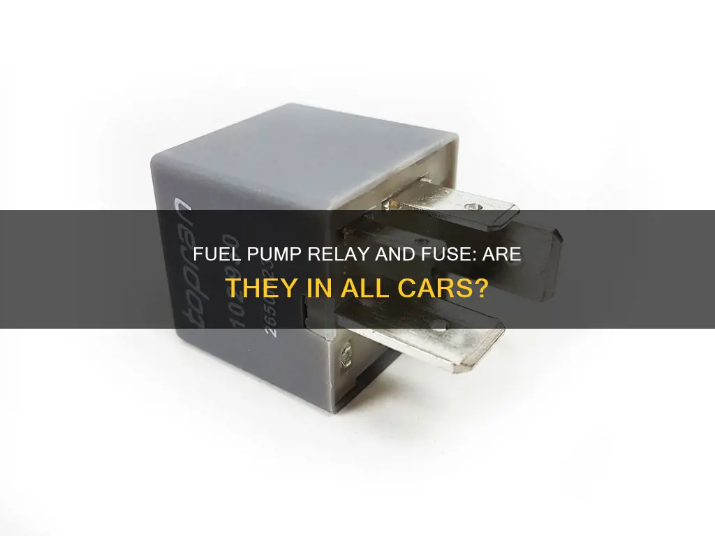 does all car have fuel pump relay or fuse
