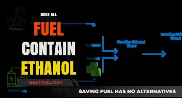 Does All Fuel Contain Ethanol? Unraveling the Truth Behind Gasoline Blends