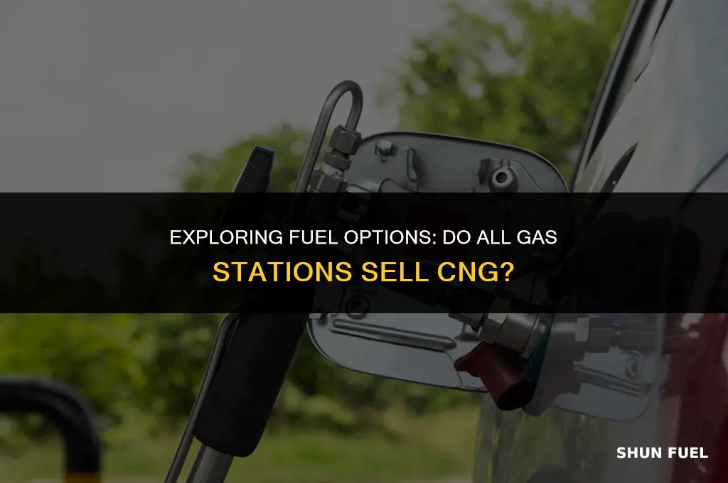 does all gas stations sell cng