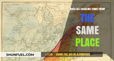 Exploring the Origins: Does All Gasoline Come From the Same Place?
