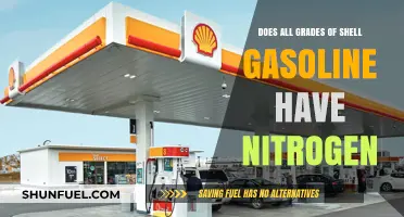 Exploring the Nitrogen Content in Various Grades of Shell Gasoline