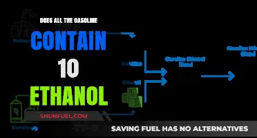 Ethanol in Gasoline: Understanding the 10% Blend Mandate