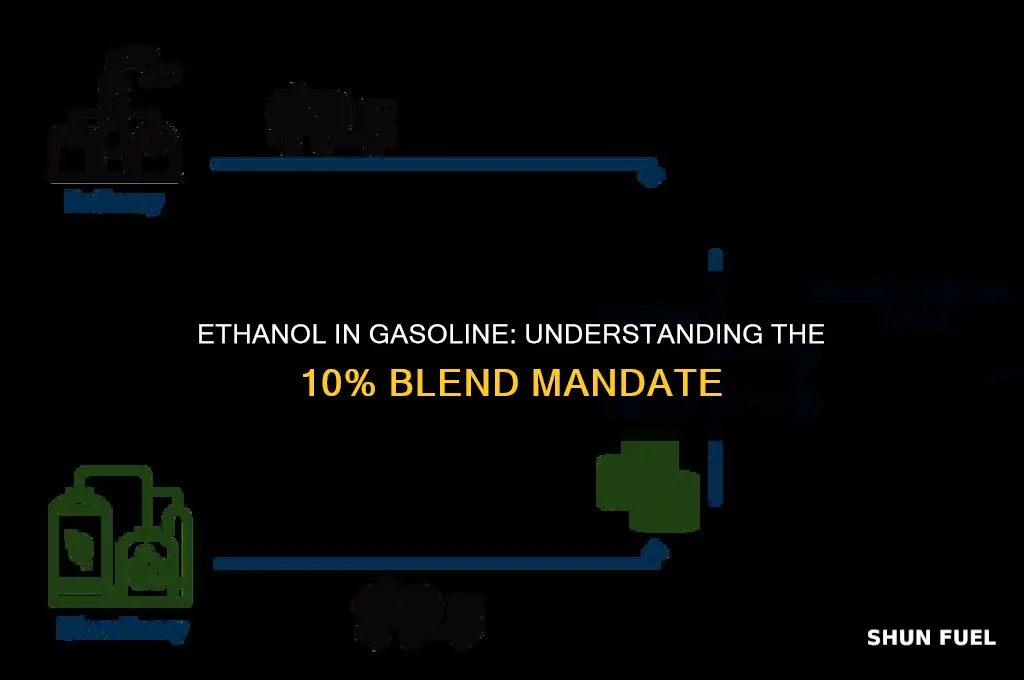 does all the gasoline contain 10 ethanol