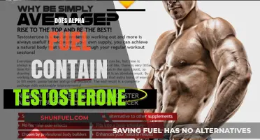 Does Alpha Fuel Boost Testosterone? Uncovering the Truth Behind the Claims