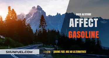 Exploring the Impact of Altitude on Gasoline Performance