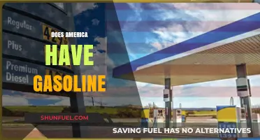Exploring America's Gasoline Availability: Facts and Myths