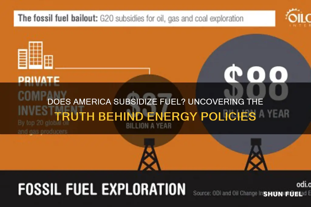 does america subsidize fuel